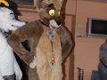Cesfur09068.jpg